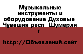 Музыкальные инструменты и оборудование Духовые. Чувашия респ.,Шумерля г.